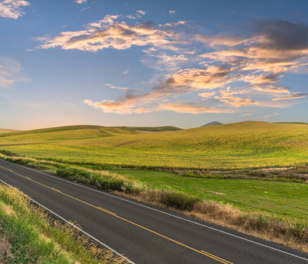 istock winding road at Palouse 508210850