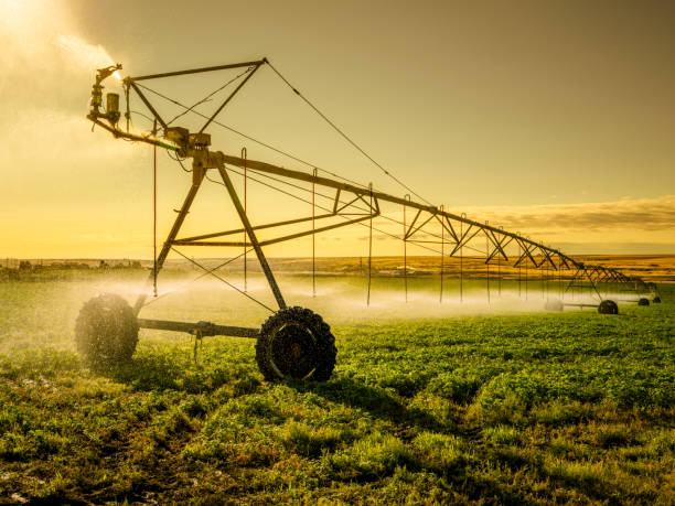 irrigador máquina de palouse - equipos de riego fotografías e imágenes de stock