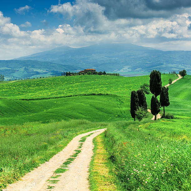istock Winding road in Tuscany 508212427