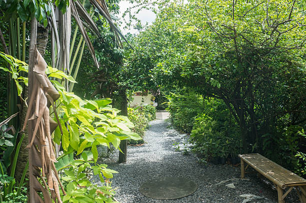 istock Walk way in  garden, Thailand 508212602