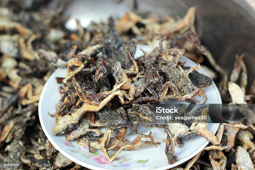 Rana fritto nel mercato - Foto stock royalty-free di Anfibio