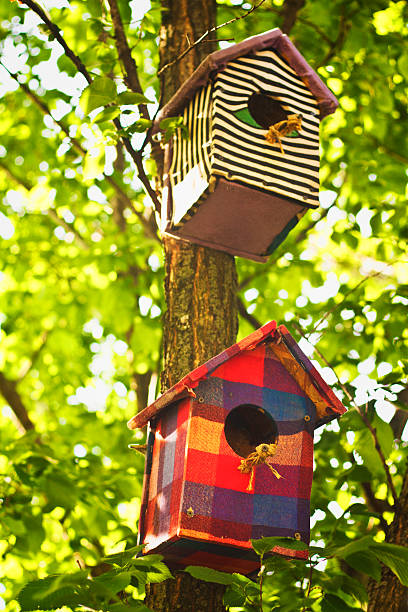 istock Brightcoloured birdhouses 508214875