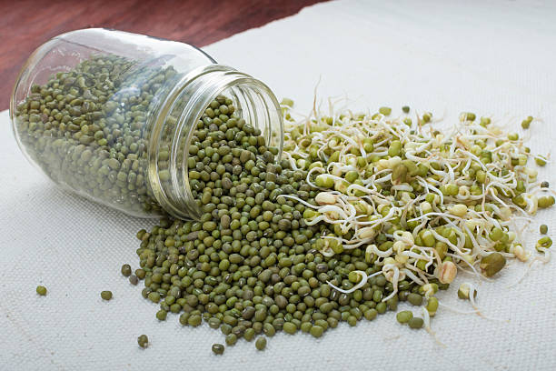 istock Spilled jar of mung beans and sprouts 508215270