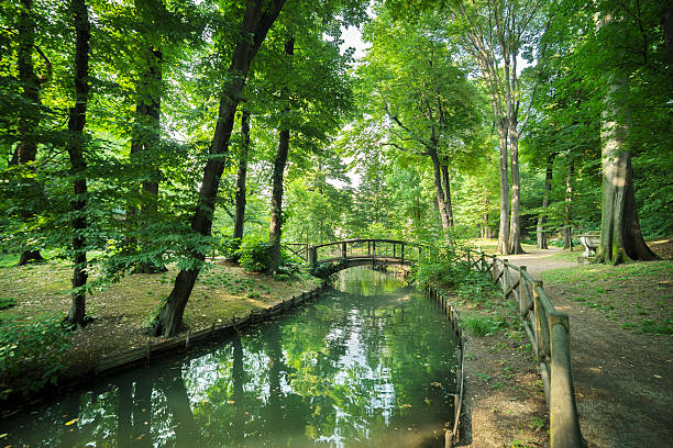 istock Wooden Bridge In The Park 508216643