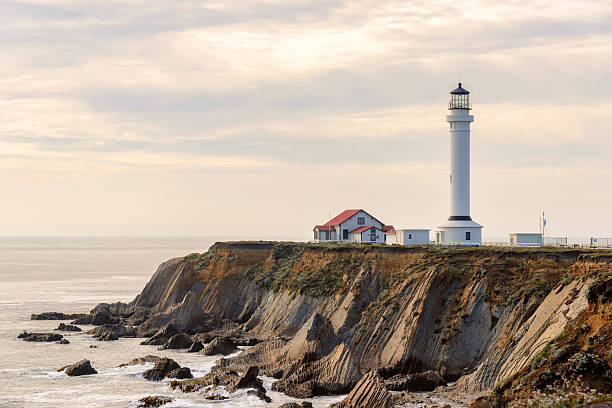 istock Lighthouse at Point Arena, California 508216768