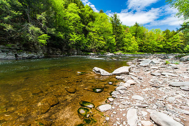 The Neversink River Gorge stock photo