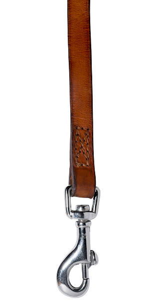 istock Tan Leather Dog lead 508231529
