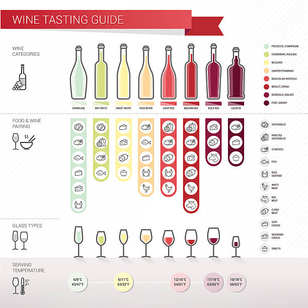 ilustrações, clipart, desenhos animados e ícones de guia de degustação de vinhos - dry wine