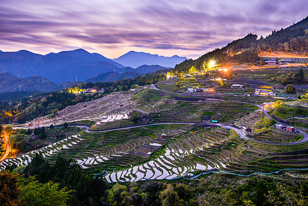 istock Rice Terraces in Japan 508233215