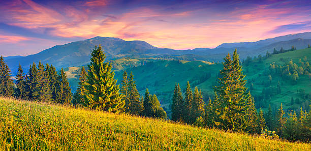 istock Beautiful summer landscape in the mountains. 508234411
