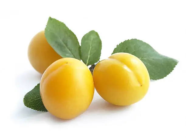 ...also known as mirabelle prune, isolated on white.