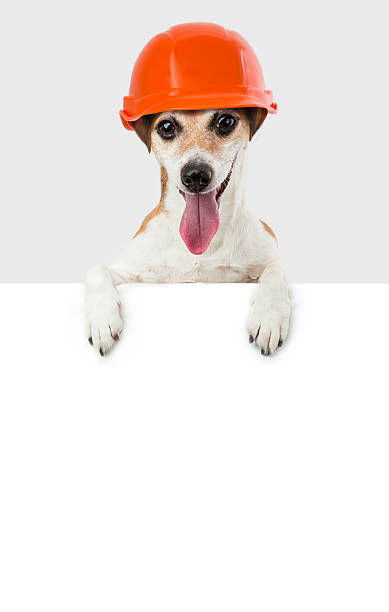 pet builder holds a signboard for your information