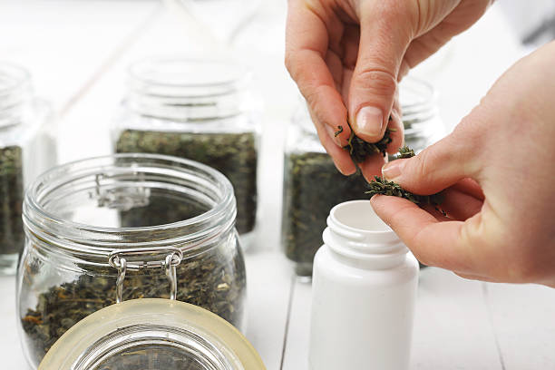 istock Herbal medicine, herbal tea. natural blend of herbs 508249436