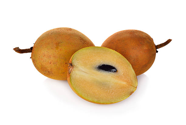 istock ripe sapodilla fruit with stem on white background 508250586
