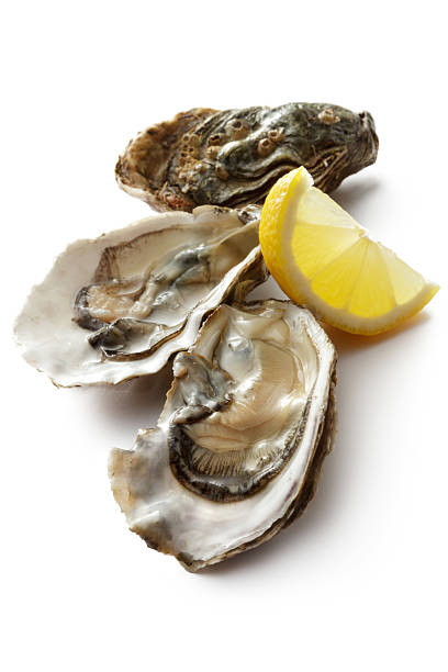 Seafood: Oyster and Lemon Isolated on White Background http://www.stefstef.nl/banners2/seafood.jpg oyster photos stock pictures, royalty-free photos & images