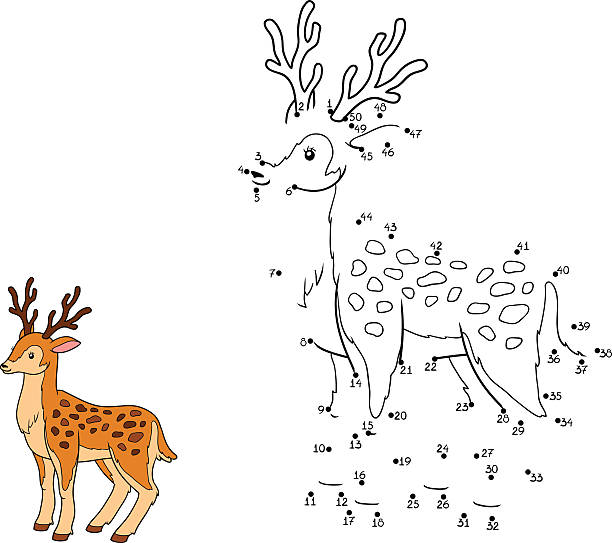 nummern spiel für kinder (deer - stag deer doe cartoon stock-grafiken, -clipart, -cartoons und -symbole