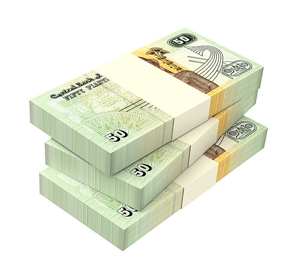 istock Egyptian piastre bills isolated on white background 508256068