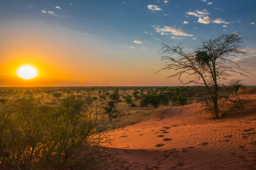 sunrise in Kalahari desert, Namibia.