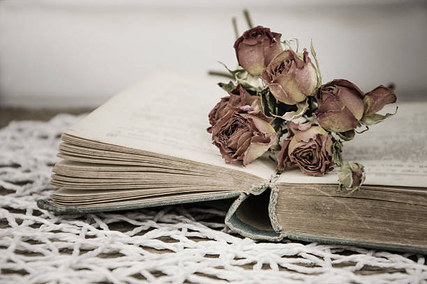 istock Dry rose on an old book in a vintage style. 508256580