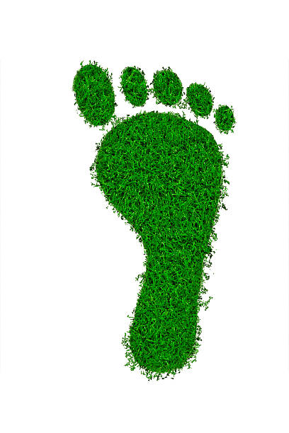 istock Green Footprint With Clipping Path 508259152