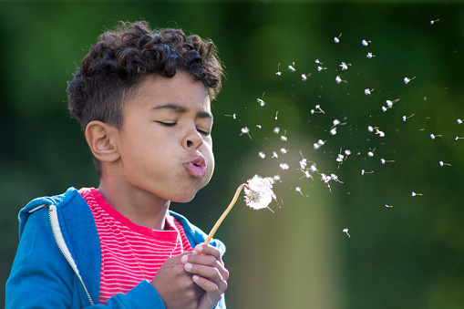 Shot of a little boy holding a dandilion blowing the seeds off it. He has his eyes closed as he blows. He is positioned on one side of the image and the seeds are across the other.