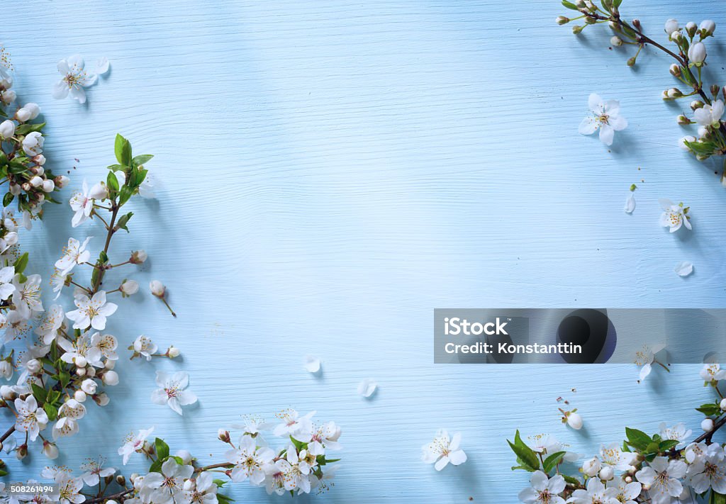 art Spring border background with white blossom art Spring floral border background with white blossom Backgrounds Stock Photo