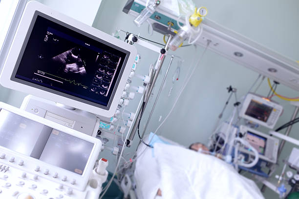 Screen with the image of heart ultrasound Screen with the image of heart ultrasound in a hospital ward maternity ward stock pictures, royalty-free photos & images