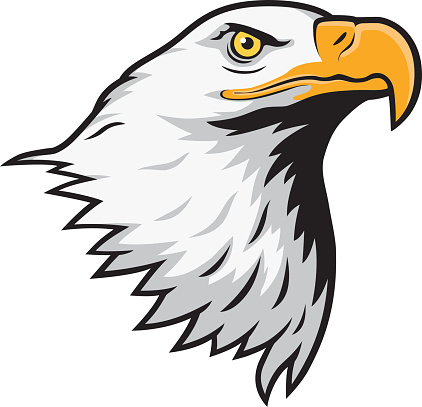 Stylized illustration of bald eagle head.