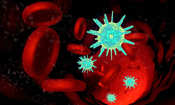 istock Red blood cells and viruses 508271513