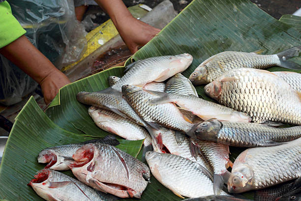 istock Fresh fish in the market. 508271755