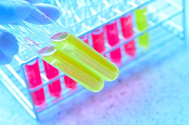 istock Test tube with bacterial growth media 508272155