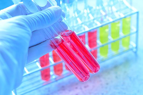 istock Test tube with bacterial growth media 508272175