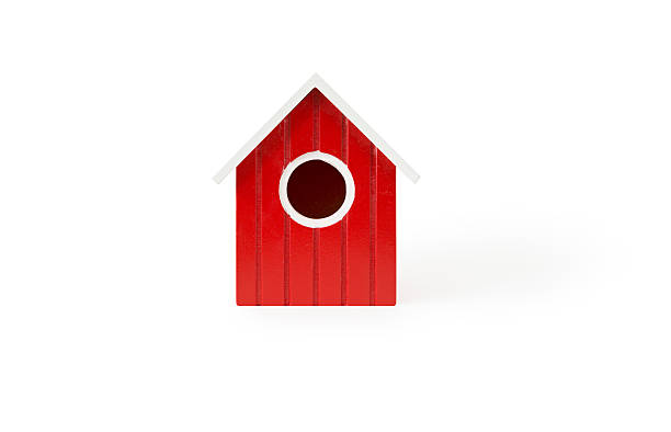 red ninho de pássaros isolados casa para casa de passarinho - birdhouse birds nest box isolated - fotografias e filmes do acervo