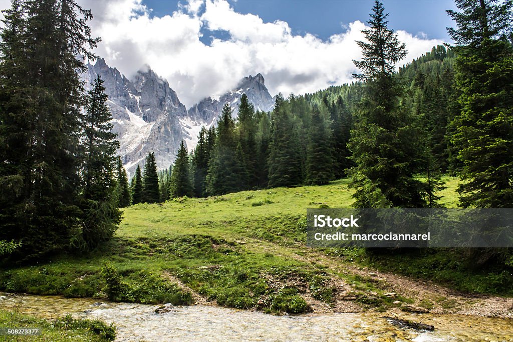 Montanhas Dolomitas - Royalty-free Abeto Foto de stock