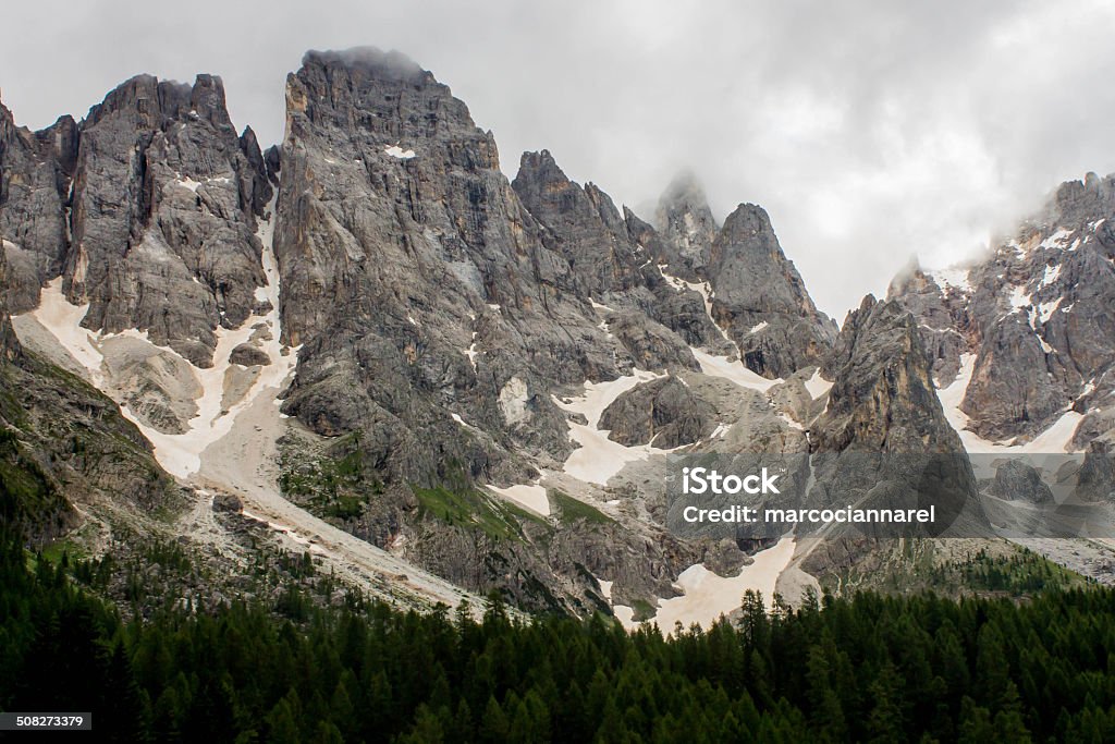 Alpes dolomíticos - Foto de stock de Abeto libre de derechos
