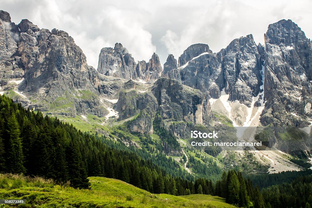 Montanhas Dolomitas - Royalty-free Abeto Foto de stock