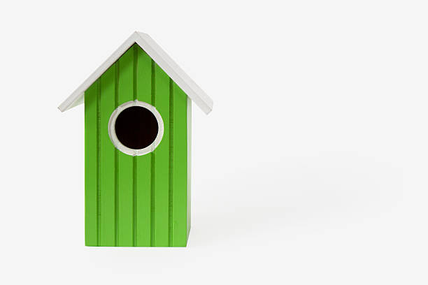 green ninho de casa para casa de pássaros de aves - birdhouse birds nest box isolated - fotografias e filmes do acervo