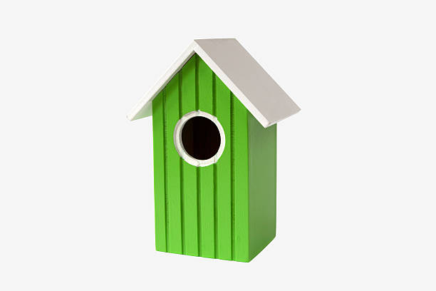 green ninho de casa para casa de pássaros de aves - birdhouse birds nest box isolated - fotografias e filmes do acervo