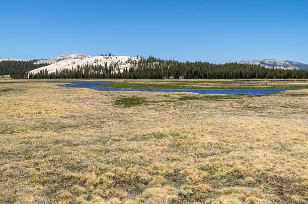 istock Yosemite National Park 508273905