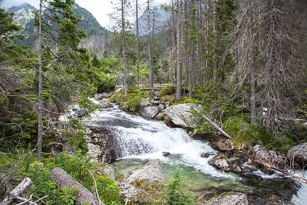 istock Cascade in High Tatras , Slovakia 508274525