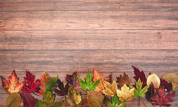 istock Autumn Leaves Thanksgiving Background 508274727