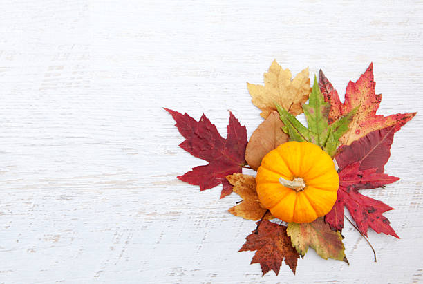 istock Autumn Thanksgiving Background 508275393