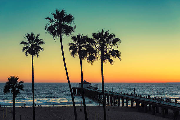 palmen in manhattan strand. jahrgang bearbeitet - santa monica beach city of los angeles california stock-fotos und bilder