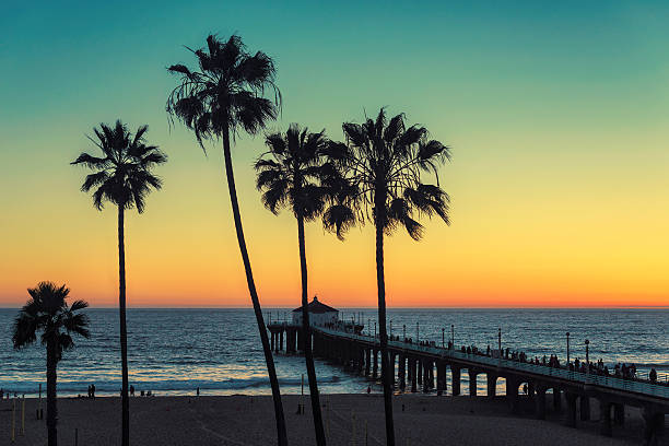 야자나무, 맨해튼비치. 빈티지 가공육 - southern california beach santa monica pier sunset 뉴스 사진 이미지