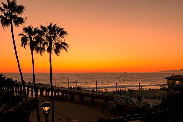 istock Palm trees on Manhattan Beach and clock tower on sunset 508283830