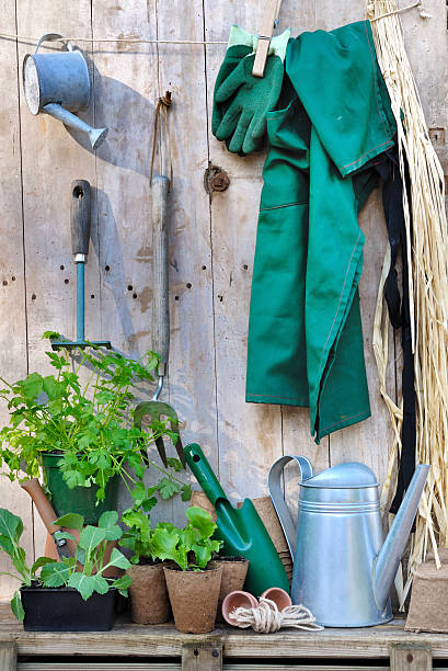 istock gardening tools on wooden background 508284162