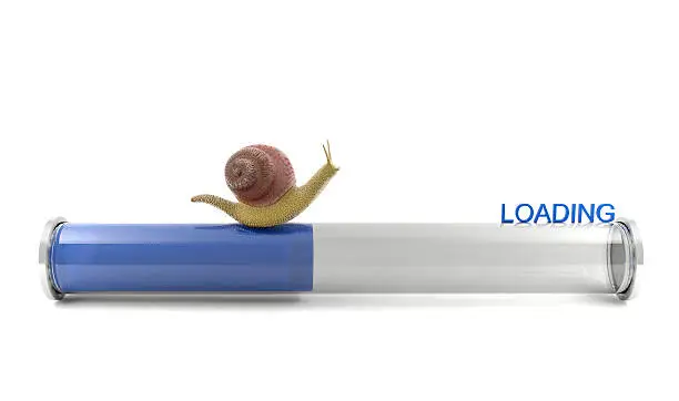 Photo of Snail crawling on download bar