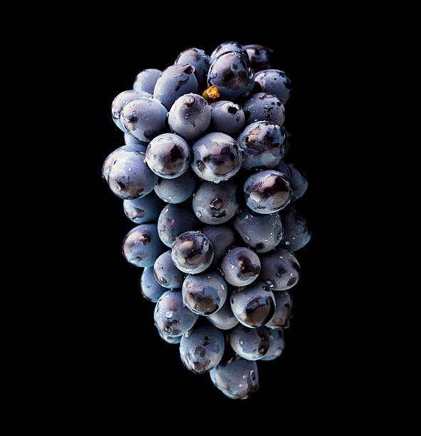 istock bunch of red grapes 508286940