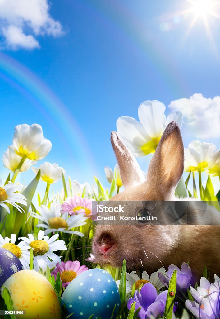 art rabbit and easter eggs on meadow rabbit and easter eggs on meadow Animal Stock Photo