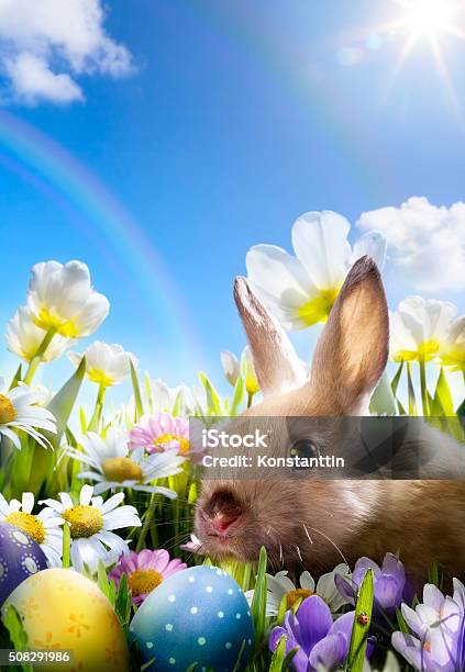 Art Rabbit And Easter Eggs On Meadow Stock Photo - Download Image Now - Animal, Baby Rabbit, Backgrounds